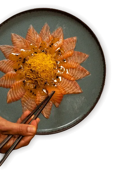 Hatsu en números - Sashimi Mobile